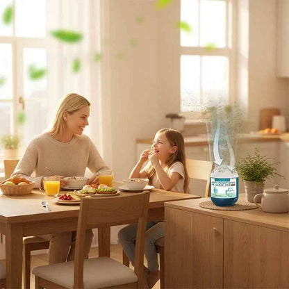 🏠2026 Hot Sale🔥 Indoor Air Purification Dust Removal Magic Box🍃