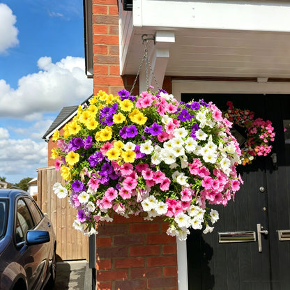 🔥Last Day 60% OFF😍UV Resistant Artificial Petunias Flowers🌺