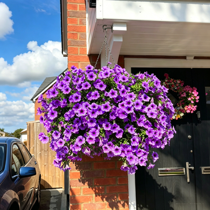 🔥Last Day 60% OFF😍UV Resistant Artificial Petunias Flowers🌺