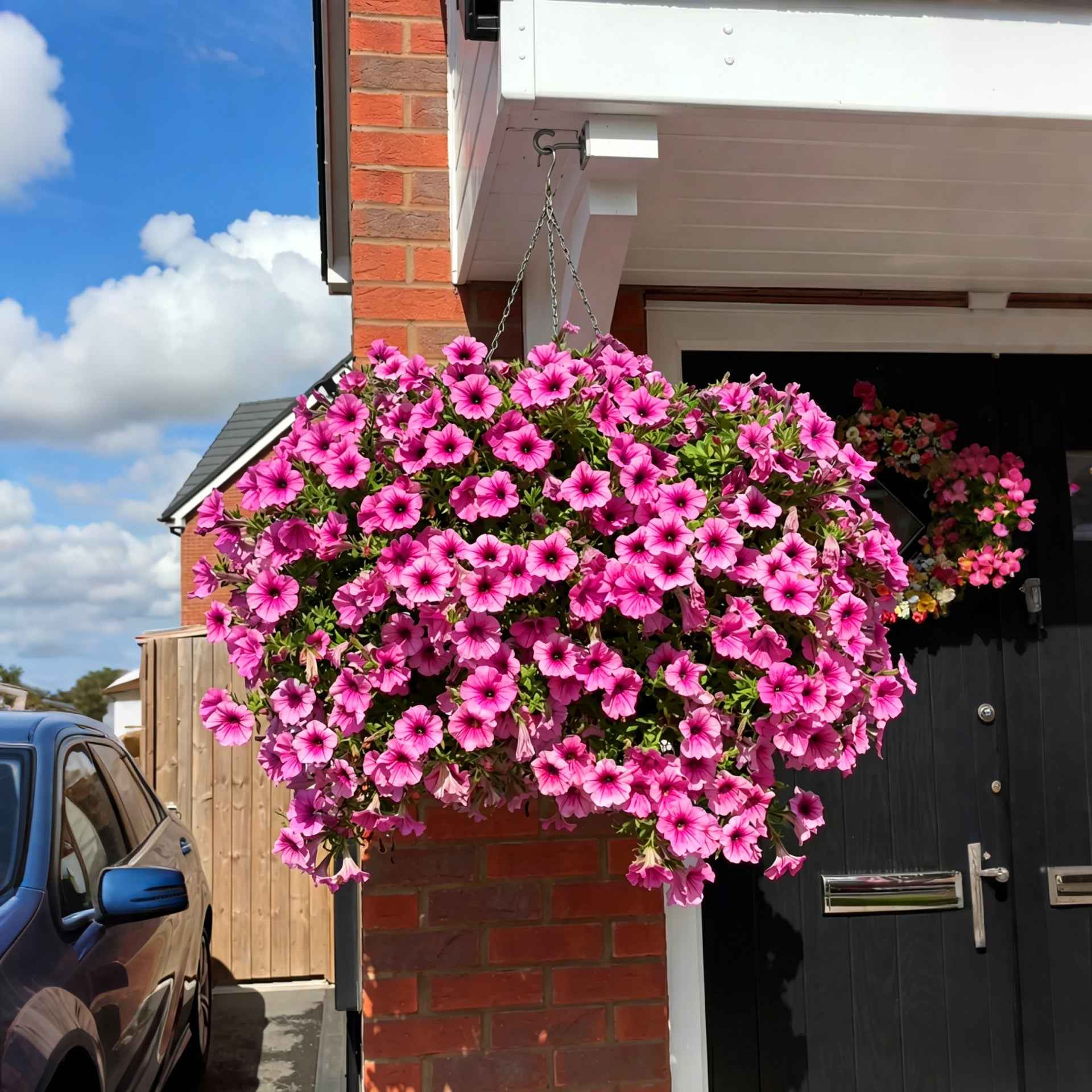 🔥Last Day 60% OFF😍UV Resistant Artificial Petunias Flowers🌺