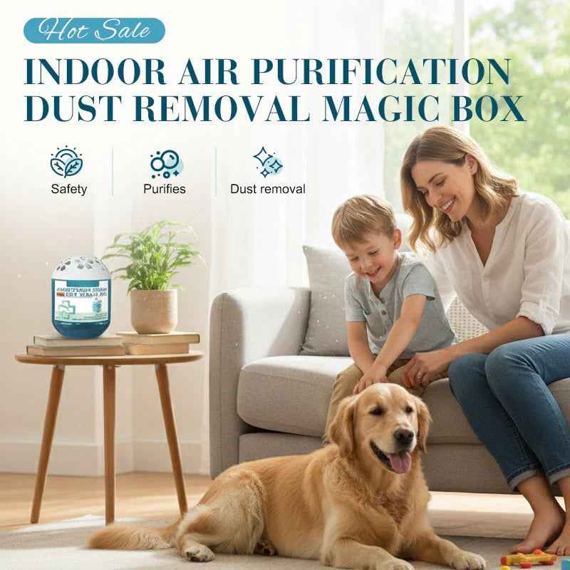 🏠2026 Hot Sale🔥 Indoor Air Purification Dust Removal Magic Box🍃