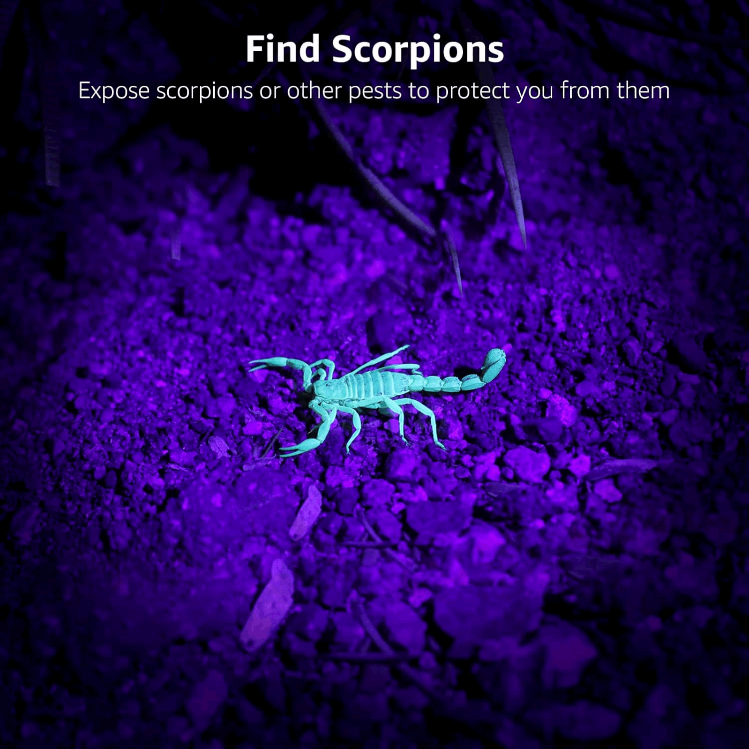 ✨Home Essentials🛡️LED 395nm Flashlight Detector for Dogs, Urine Stains, Bedbugs, and Scorpions