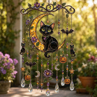 🐈 The Black Moon Cat