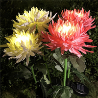 Yellow Chrysanthemums