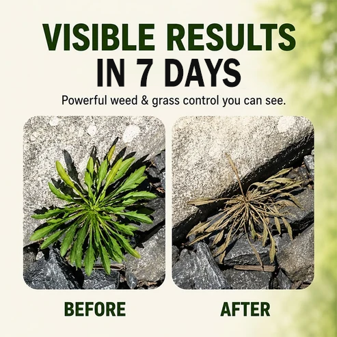 🔥🔥2026 SALE - Fast-Acting Natural Weed & Grass Killer Spray