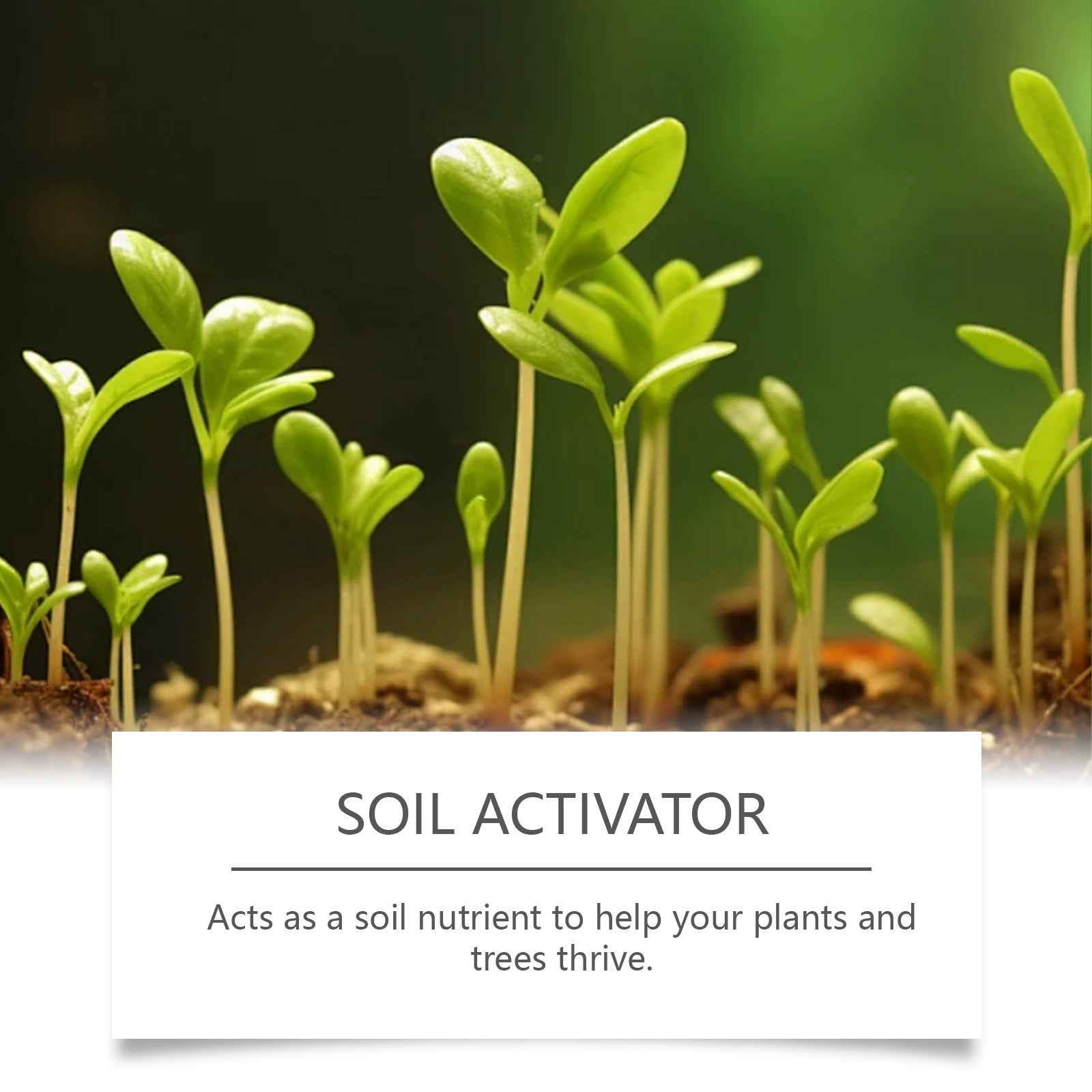 🌳 Soil Pro Activator | 75K+ Sold Plant Growth Formula