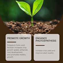 🌳 Soil Pro Activator | 75K+ Sold Plant Growth Formula