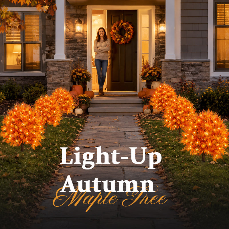 10 PCS(Save $50&Free shipping)
