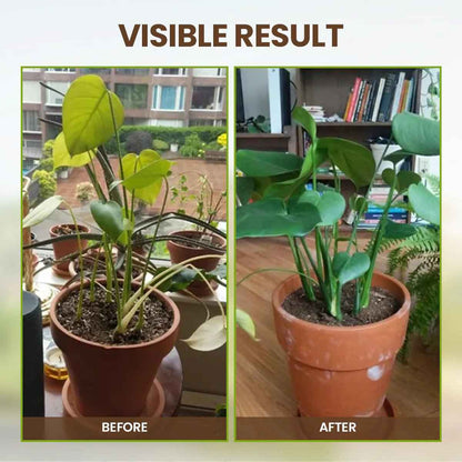 🌳 Soil Pro Activator | 75K+ Sold Plant Growth Formula