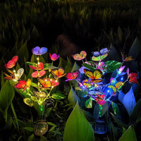Color Light