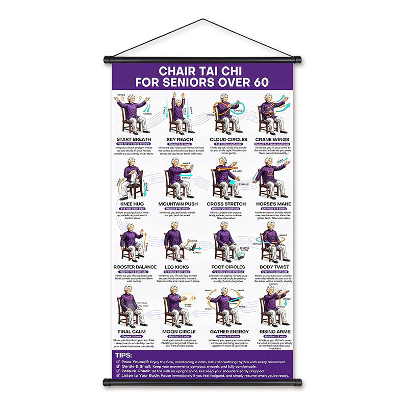 🧘 Daily Chair Tai Chi Exercise Poster | Senior Wellness Training Canvas Wall Art
