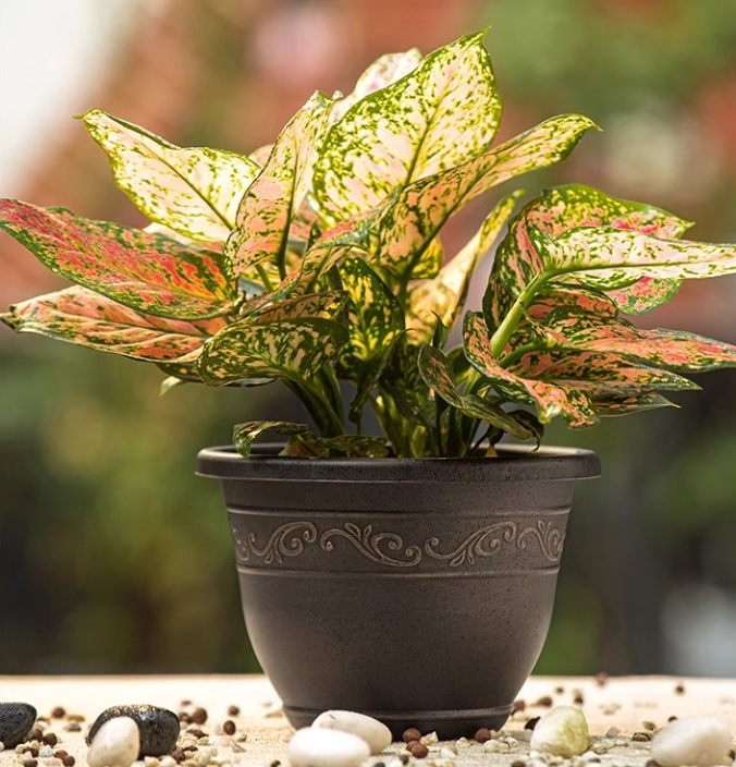 🌿 4-Pack Retro Plant Pots | Indoor & Outdoor Flower Planters