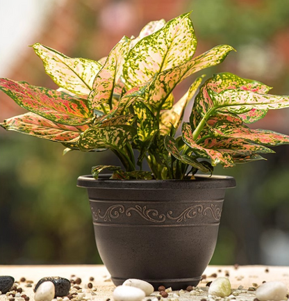 🌿 4-Pack Retro Plant Pots | Indoor & Outdoor Flower Planters