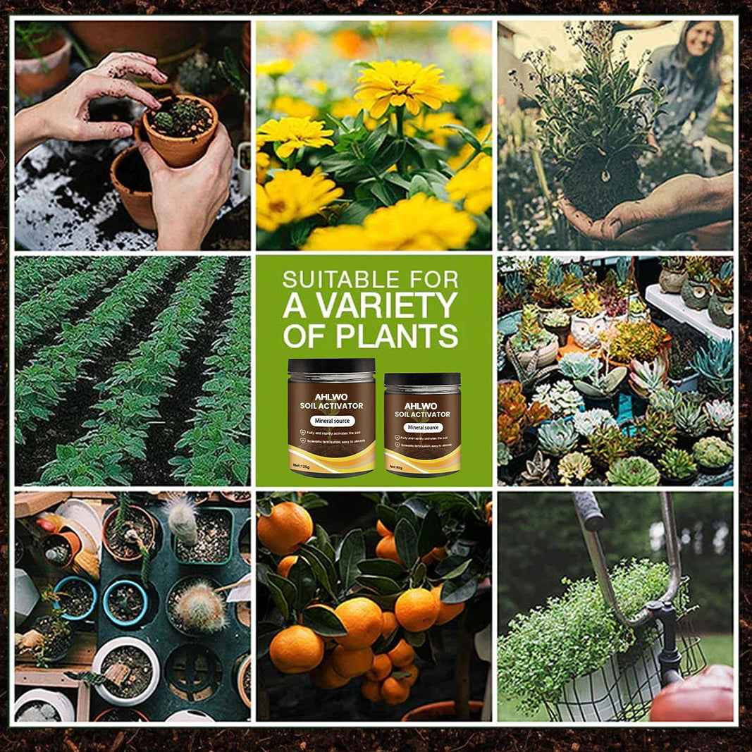 👩🏻‍🌾🌱Rejuvenate plants-Soil Pro Activator🔥