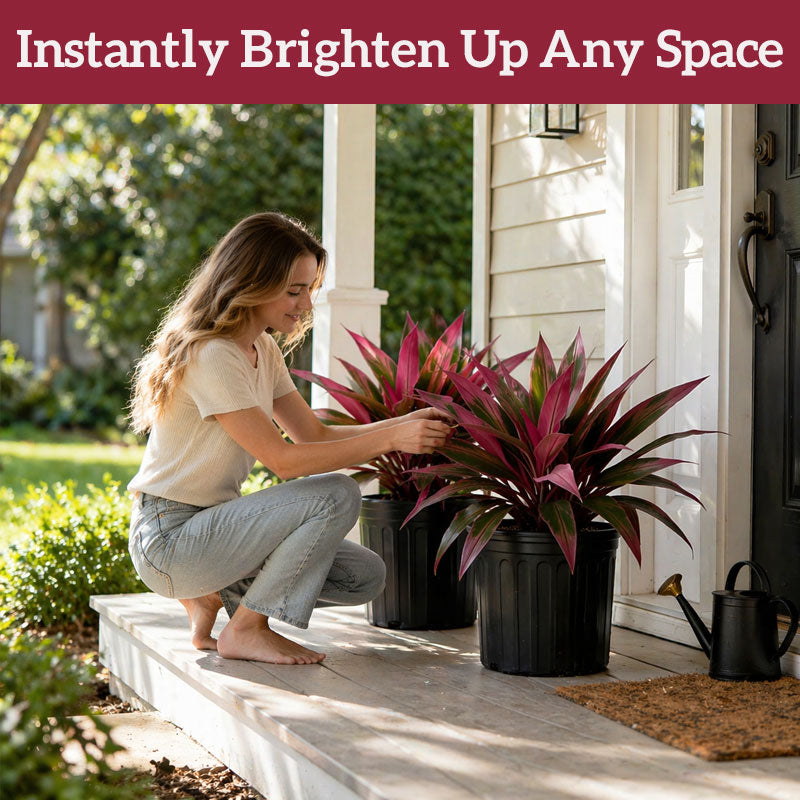 Bring Life Indoors with an Artificial Ti Plant