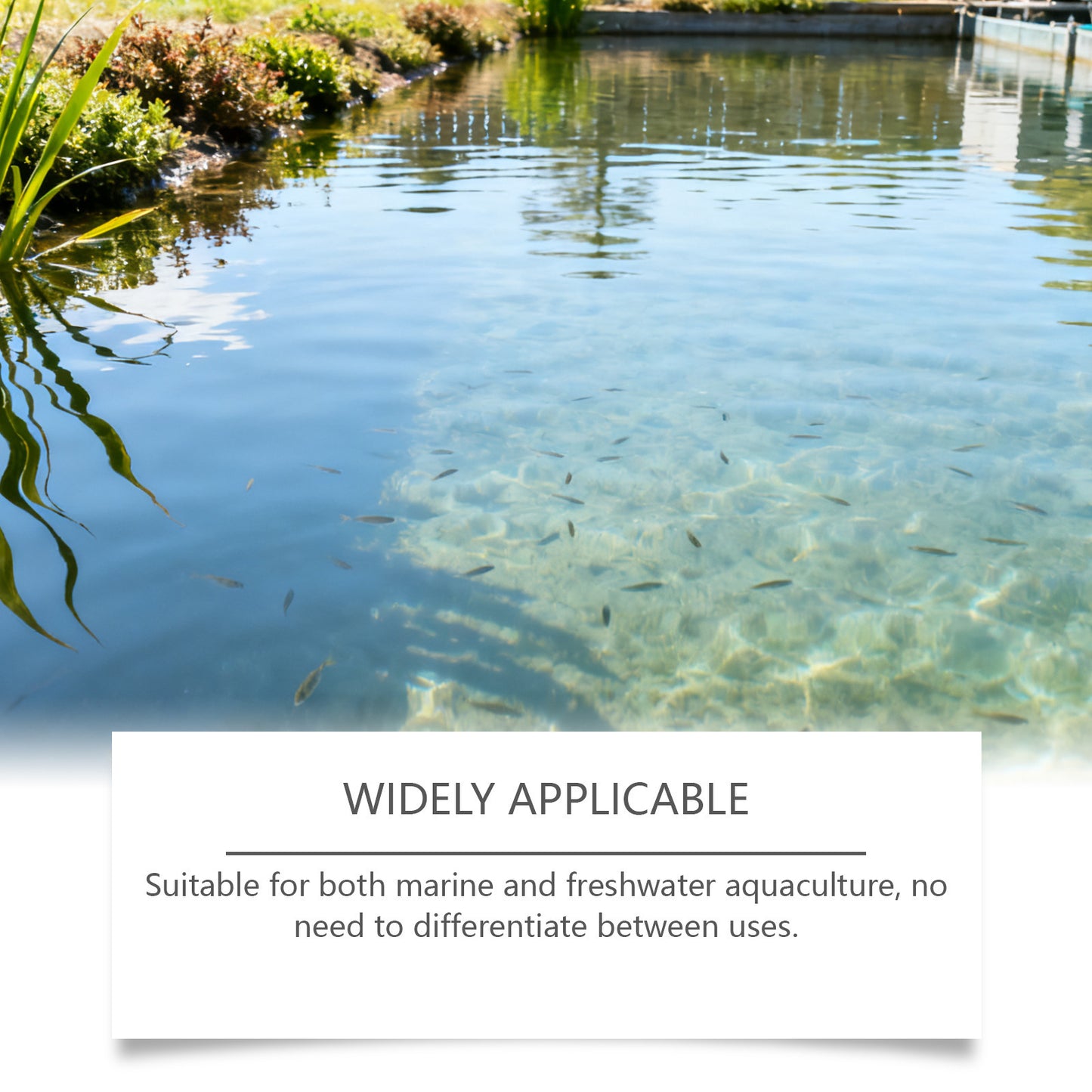 🌊 🔥 Crystal Clear Water Treatment | Fast-Acting Clarifying Powder Solution