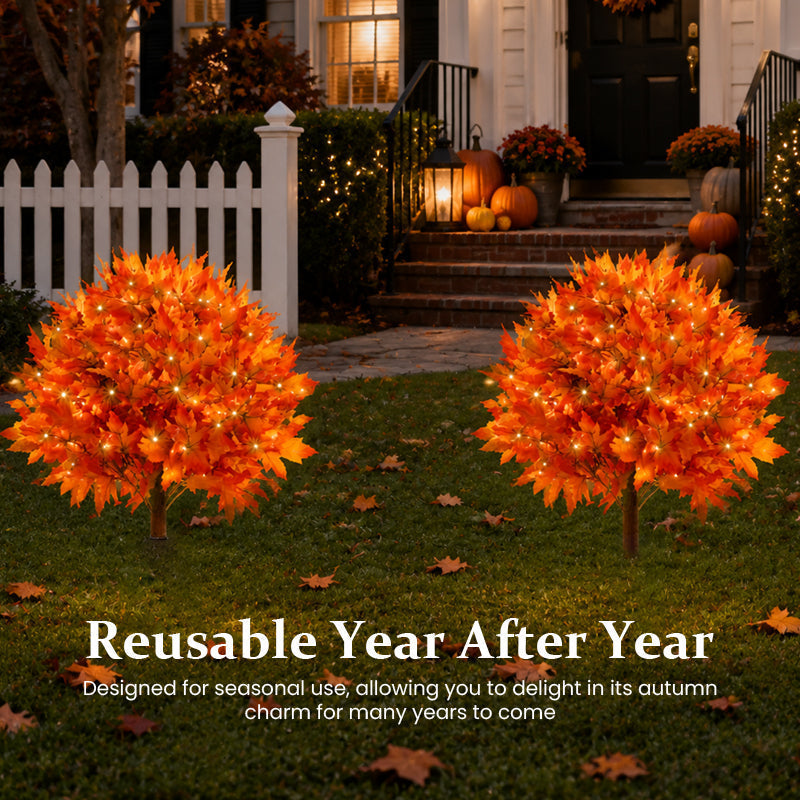 2 PCS(Save $4)