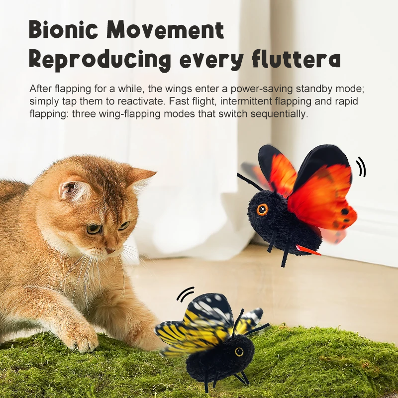 🐱✨ NEW ARRIVAL — Your Cat’s New Favorite Toy! 🦋💨