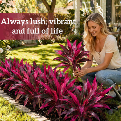 Bring Life Indoors with an Artificial Ti Plant