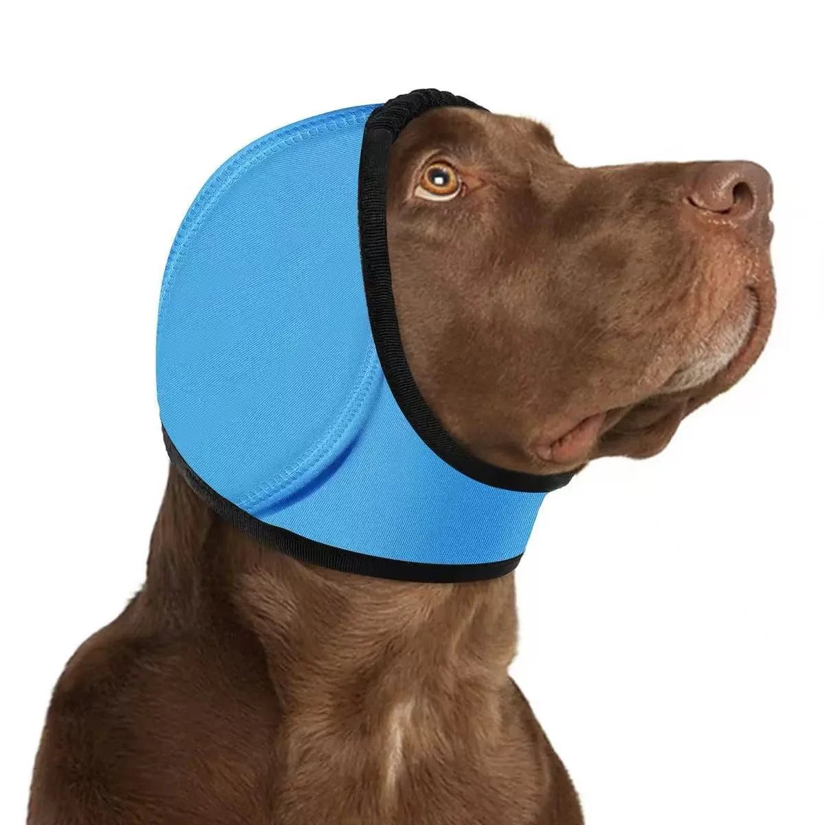 🐶 Calm Your Dog Instantly | 49% OFF Now