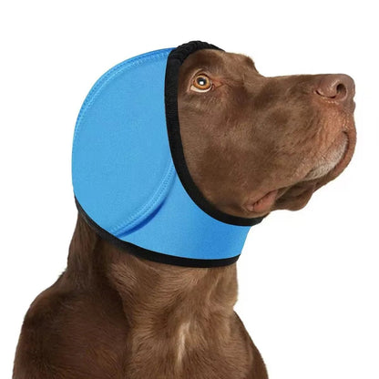 🐶 Calm Your Dog Instantly | 49% OFF Now