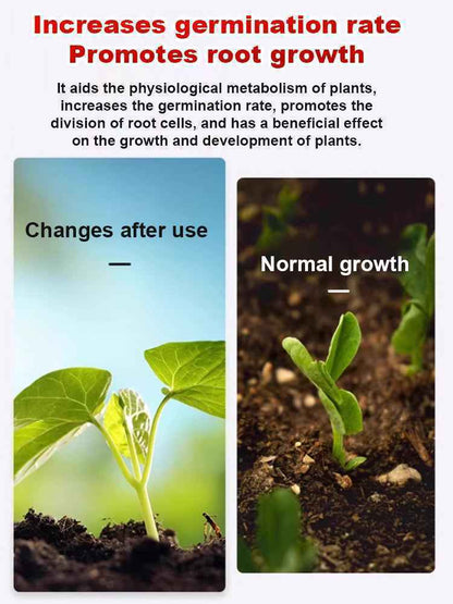 🌱 Organic Soil Energizer: 30% Faster Root Growth