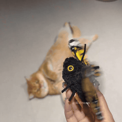 🐱✨ NEW ARRIVAL — Your Cat’s New Favorite Toy! 🦋💨