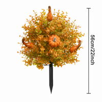 Eucalyptus Pumpkin