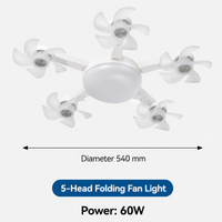 Five-light ceiling fan with lights