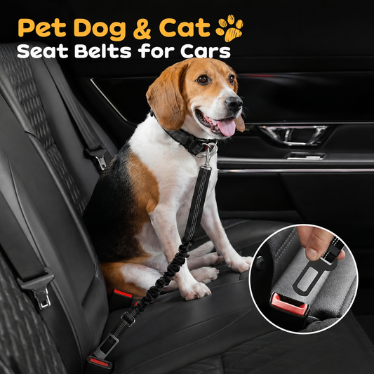 🐾 Tired of unsafe, uncomfortable pet car restraints? This seat belt changes everything