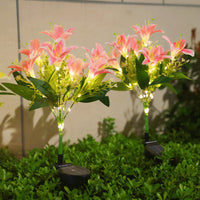 Buy 1 Lily—Pink (Seven heads)