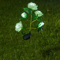 Buy 1 rose-White (five heads)