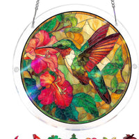 Flame Hummingbird