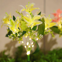 Lily