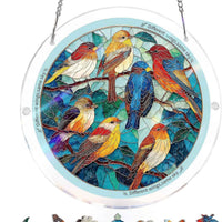 Flock of hummingbirds