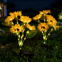 Buy 1 Sunflower (Six heads)
