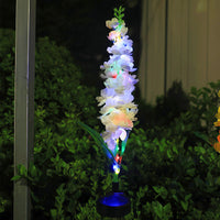Buy 1 Hyacinth (colored light)