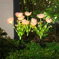 Buy 1 Red Spider Lily-Pink (Three heads)