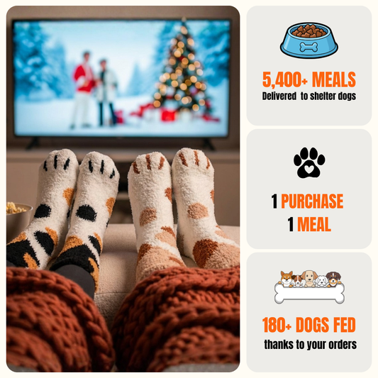 🐾 Women’s Fuzzy Cat Paw Socks | Warm Cozy Winter Slipper Socks