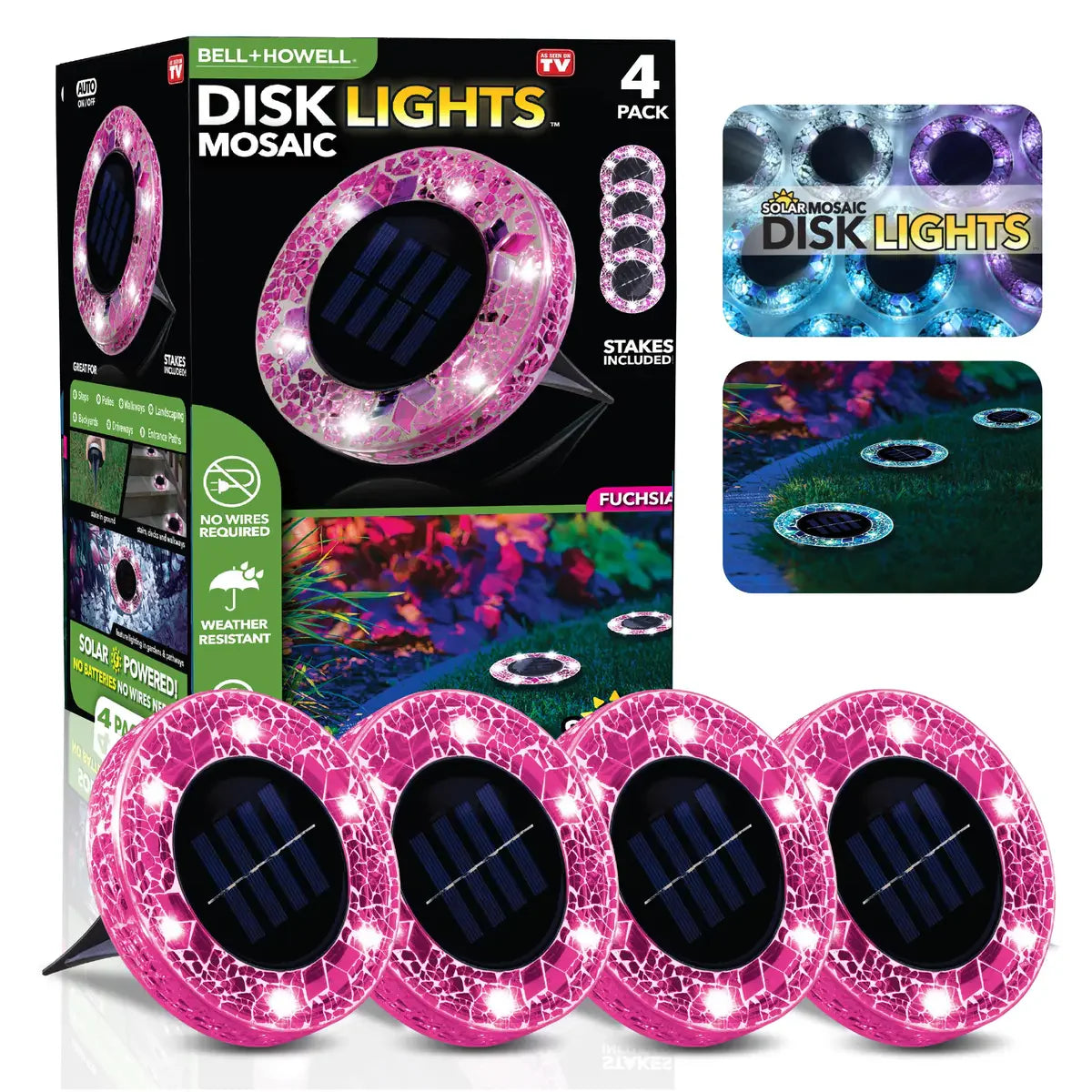 Fuchsia-Round