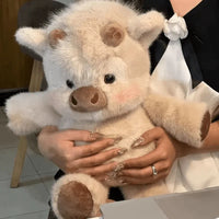 Highland Cow – Apricot