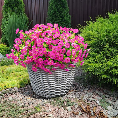 🔥Last Day 60% OFF😍UV Resistant Artificial Petunias Flowers🌺
