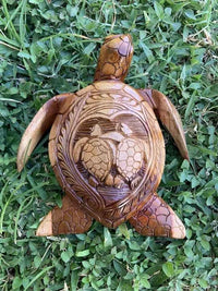 Double Turtle