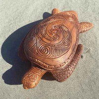 Spiral Turtle