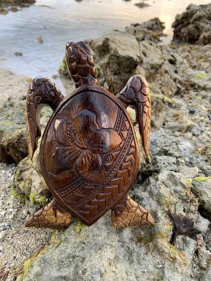 Hawaiian Turtle