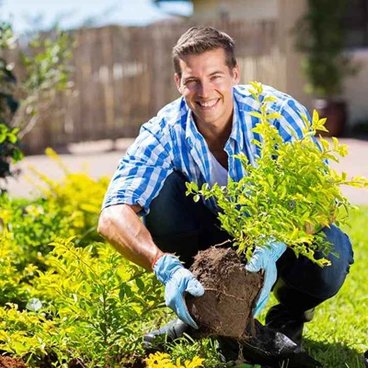 👩🏻‍🌾🌱Rejuvenate plants-Soil Pro Activator🔥