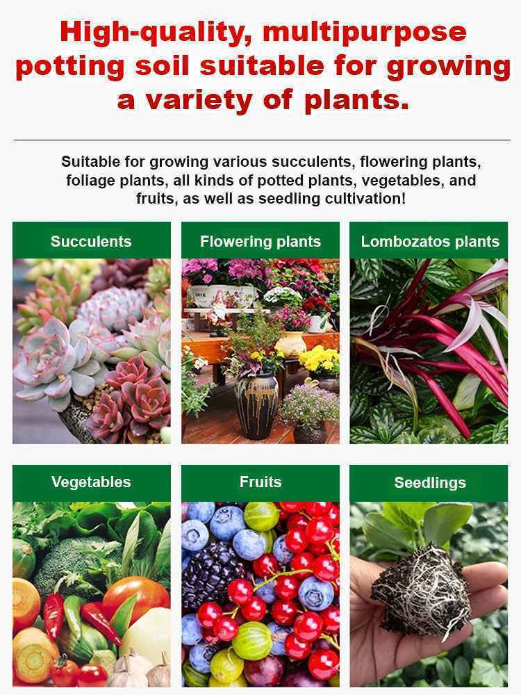 🌱 Organic Soil Energizer: 30% Faster Root Growth