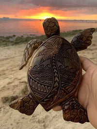 Coconut Turtle