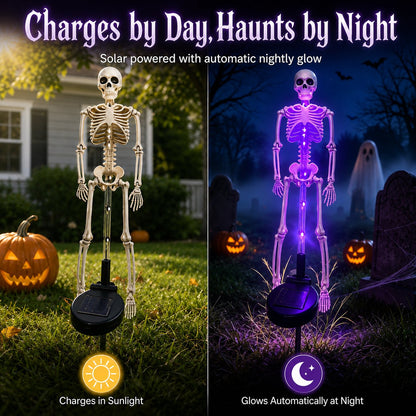Turn Your Yard Into A Spooky Skull Path 💀🌙 Halloween Solar Garden Lights