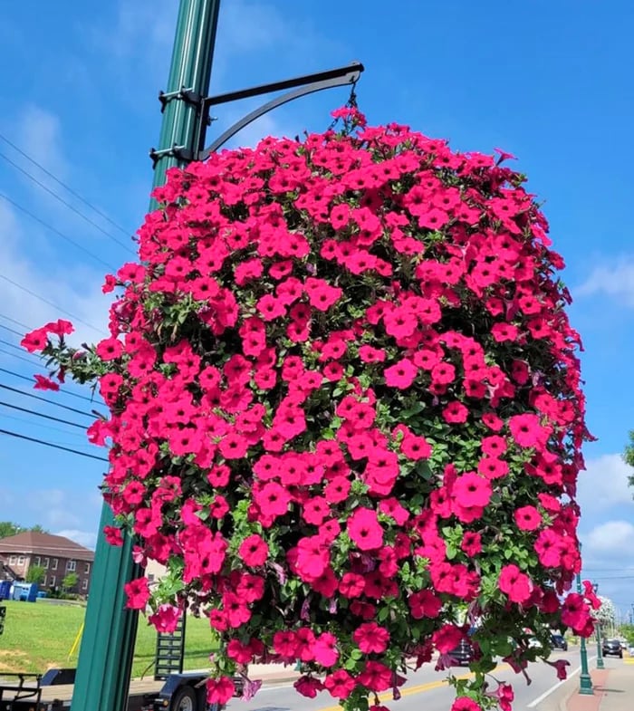 UV Simulation Artificial flower